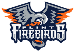 Flint Firebirds logo