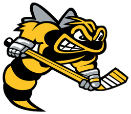 Sarnia Sting logo